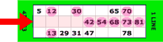 online bingo win