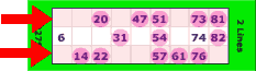 2 line bingo win