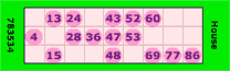 House bingo win