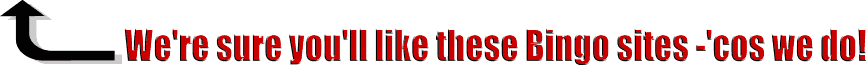 recommended online bingo halls 